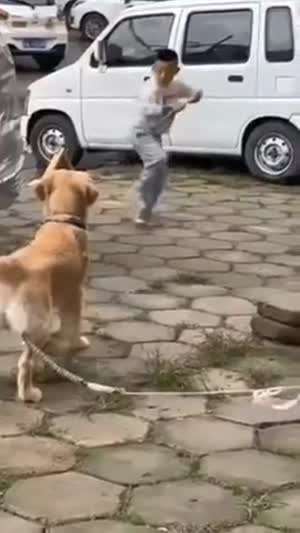 개깝치다가 참교육 당하는 잼민이