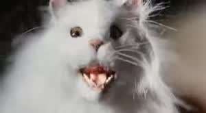 B급게임 포스탈 요약