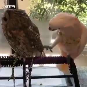 동네 양아치가 내 자켓을 탐낸다