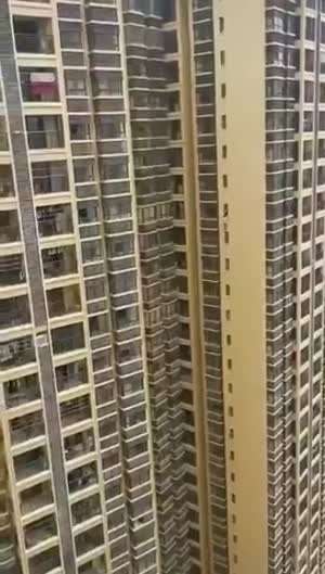 잡혀 죽는게 낫지 않을까...누가 그렇게 무서운거야..