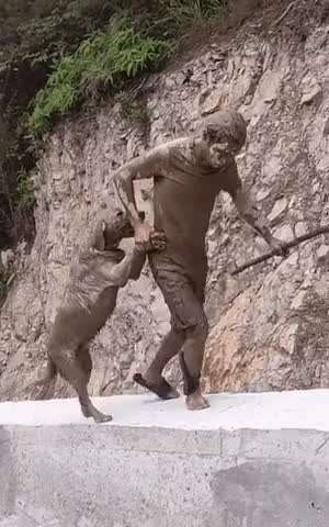 시골 할머니댁서 맘껏 뛰어놀라고 댕댕이 풀어줬더니 진흙도배.