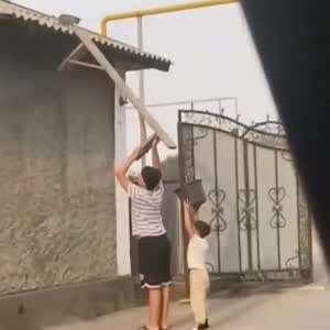 새끼 냥이 구출 합동작전