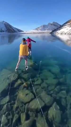 캐나다의 장점.gif