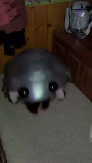 장난꾸러기 소녀