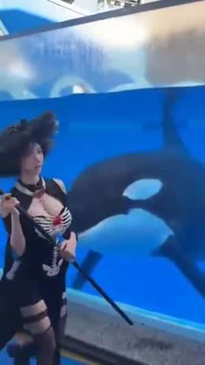 오~ 다들 조쿠만!!