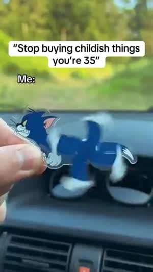 35이나 처먹고 얼라같은 물건 좀 그만 사그라