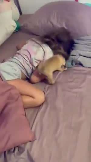 소리] 시계보다 더 강력한 댕댕이 알람.mp4