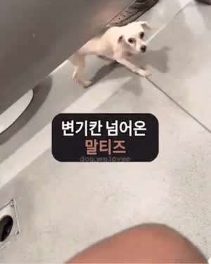 화장실 옆칸에서 건너온 의외의것