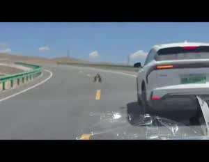 도로 막고 난투극