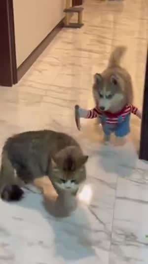 우리 집사는 멍청이 3