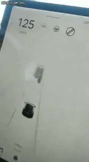 신호등!!! 신호등이 와요!!!