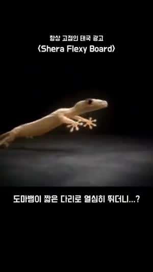 재미와 감동이 있는 태국 광고