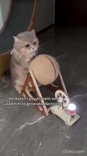 같이 사는 냥아치가 방세를 안내서 발전기로 사용중