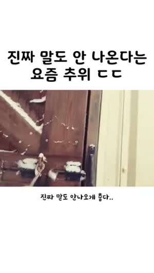 정말 말도 안 나온다는 요즘추위