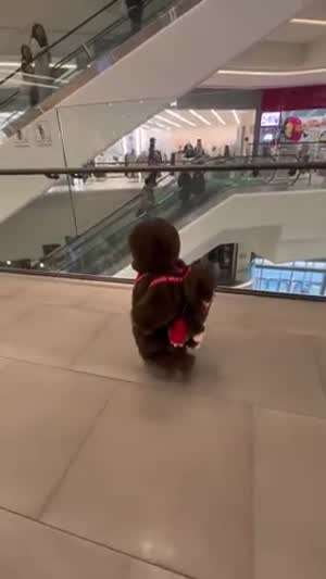 이런게 육아의 힐링이지