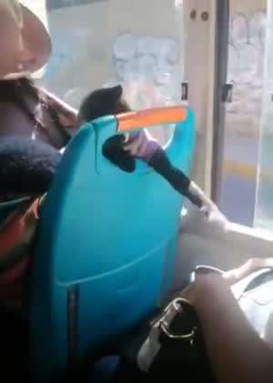 심심풀이 냥이 놀리기