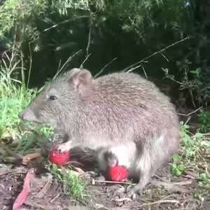 자기 입은 자기가 알아서....