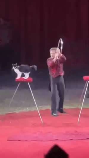 너 정말 이러기냐?