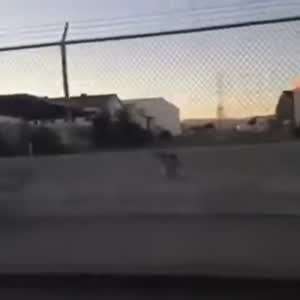 미국에 한때 유행했던 패션