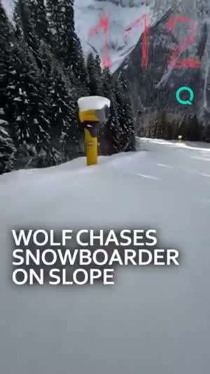 러시아 돔바이 스키장에서 만날 수 있는 것