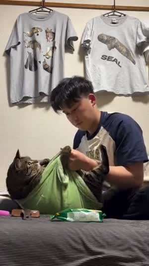 고양이랑 놀아주기.mp4