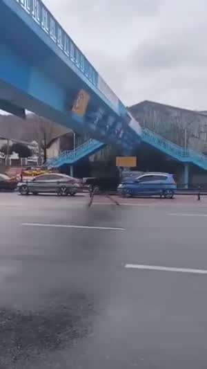 도로를 질주하는 낙타