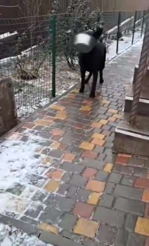 골목길 블랙아이스