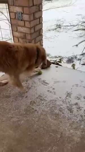 이게 왜 안떨어져!