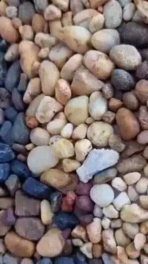 드디어 작품 완성!!