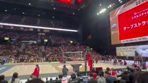 오늘자 일본 배구선수 도게자