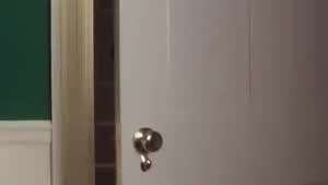 나 홀로 집에 20년 후