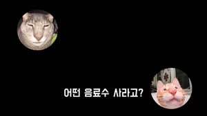 동생한테 "미에로 화이바" 심부른 시킨 누나