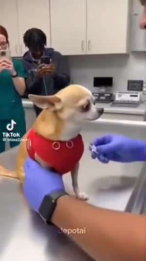 오스카 남우엄살상 후보 No.1...