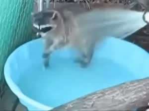 라면 이름은 숨은 뜻