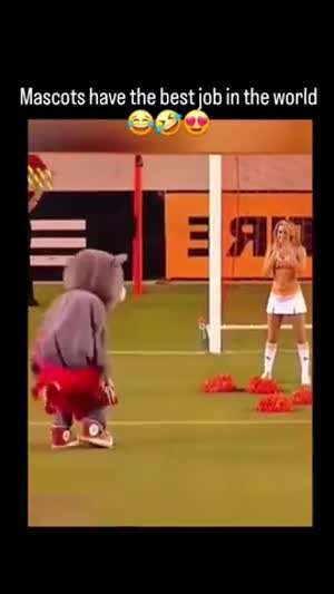 운동경기 마스코트
