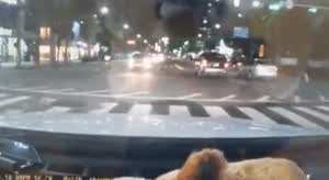 오토바이 생각을 접게 된 계기