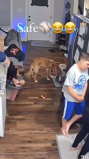 넘어진 여동생을 본 오빠의 반응