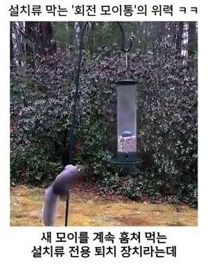 설치류 퇴치 장치