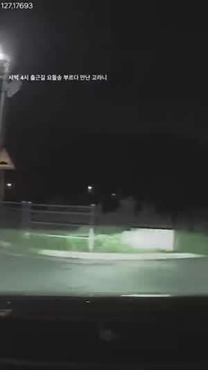 새벽4시에 출근하다가 고라니 만난 아저씨 mp4