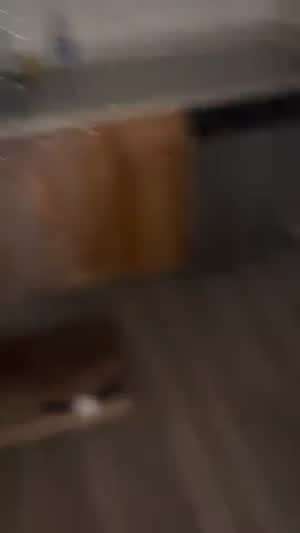 소리] 겨울에 집을 비울땐 수도를 졸졸흐르게 틀어놔야 한다며?.mp4