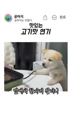 마시다 보면 고기맛이 날지도 몰라