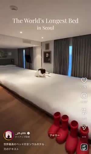 일본인 : 서울에 긴 침대가 있는 호텔 너무 재미있어