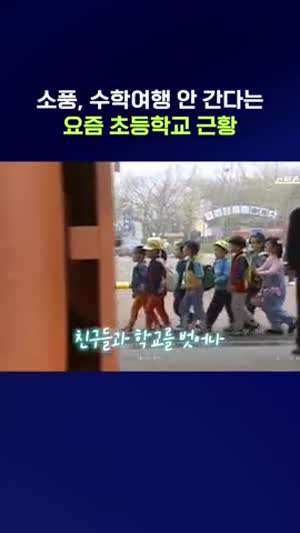 소풍, 수학여행이 사라졌다는 요즘 초등학교.gif