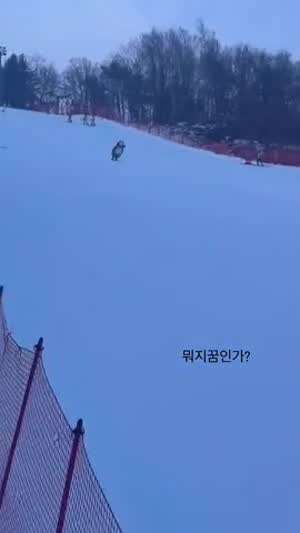 스키장에 펭수가 지나가고 있네