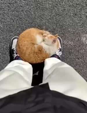 내 허락없이 못간다