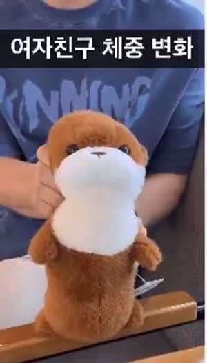 여자친구 체중변화