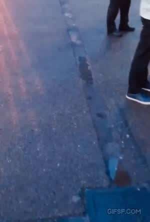 작은 물 웅덩이 속에 비친 도시