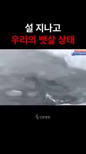 설 지나고 우리의 뱃살 상태