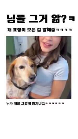 개 표정 왜 저러는지 아는 분