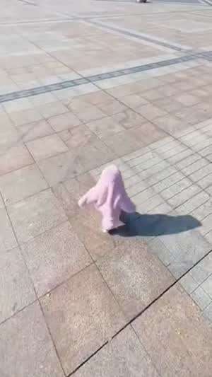 [속보]육지불가사리 발견